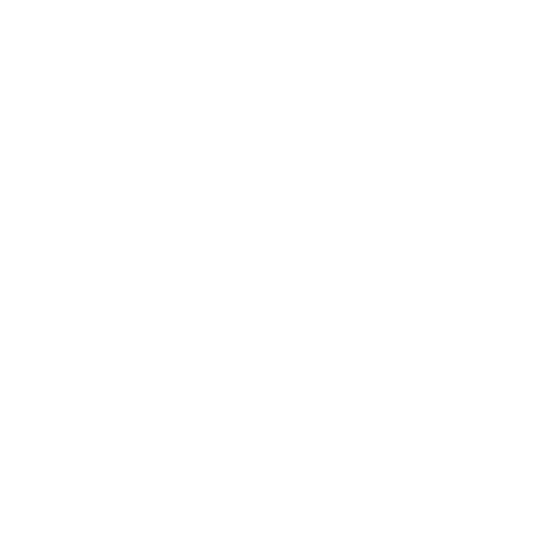 Accompagnement professionnel